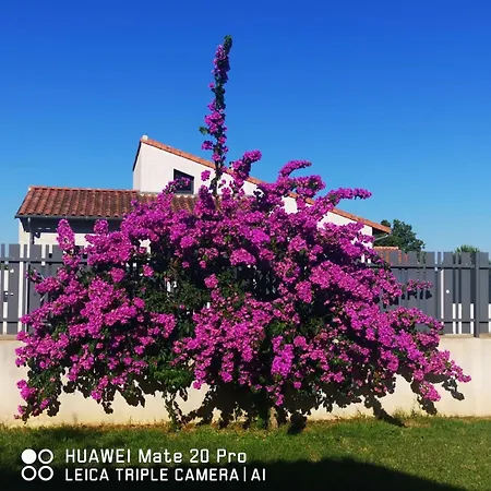 Pool House Petite Camargue *