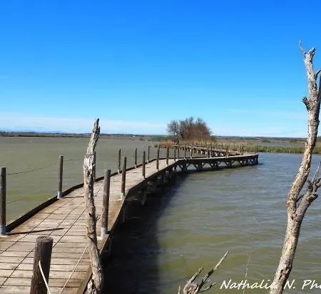 Pool House Petite Camargue *